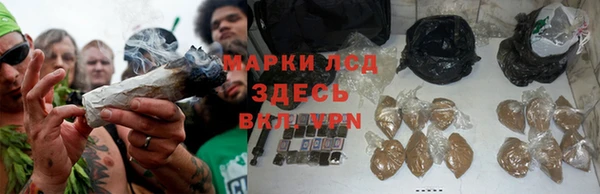 герыч Арсеньев