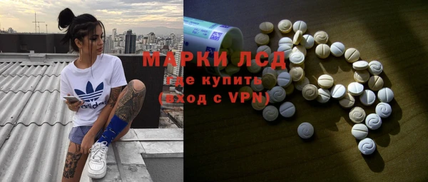 СК Алексин